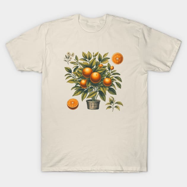 Orange Vintage Botanical T-Shirt by Nancy 